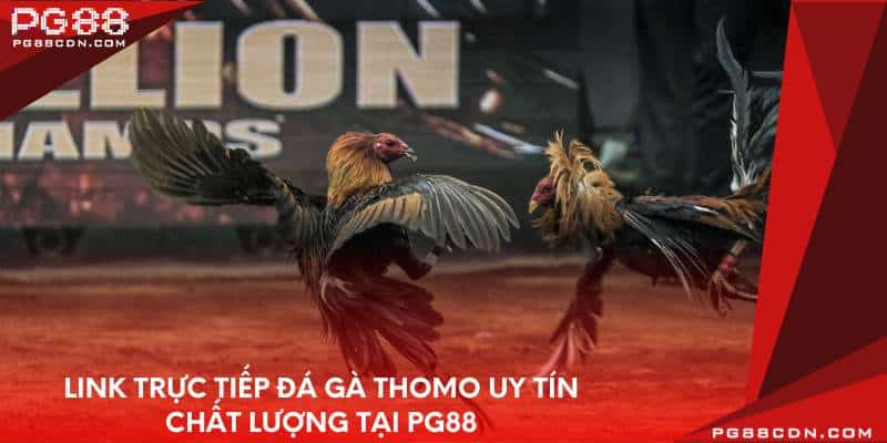 link-truc-tiep-da-ga-thomo-uy-tin-chat-luong-tai-pg88