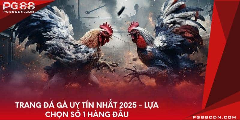 trang-da-ga-uy-tin-nhat-2025-lua-chon-so-1-hang-dau